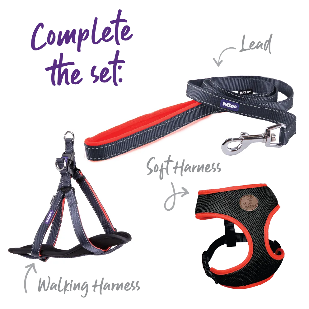 Active Dog Collar - Slate & Orange