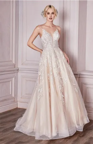 Champagne Embroidered Lace Slip Tulle Wedding Dress