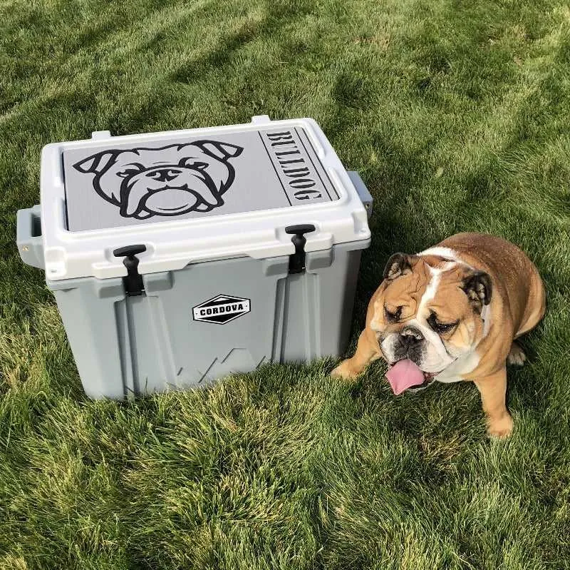 French Bulldog - SC/DG