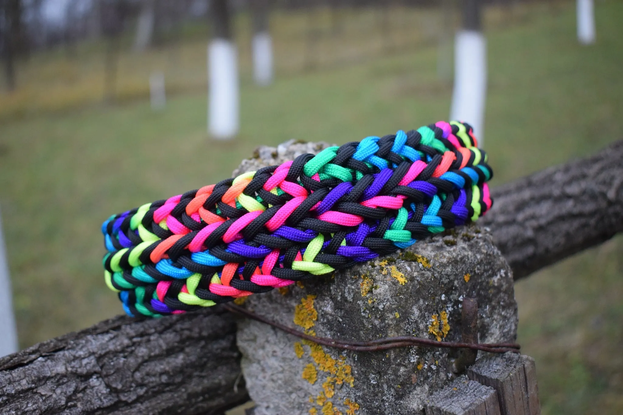 Heart Braid Dog collar