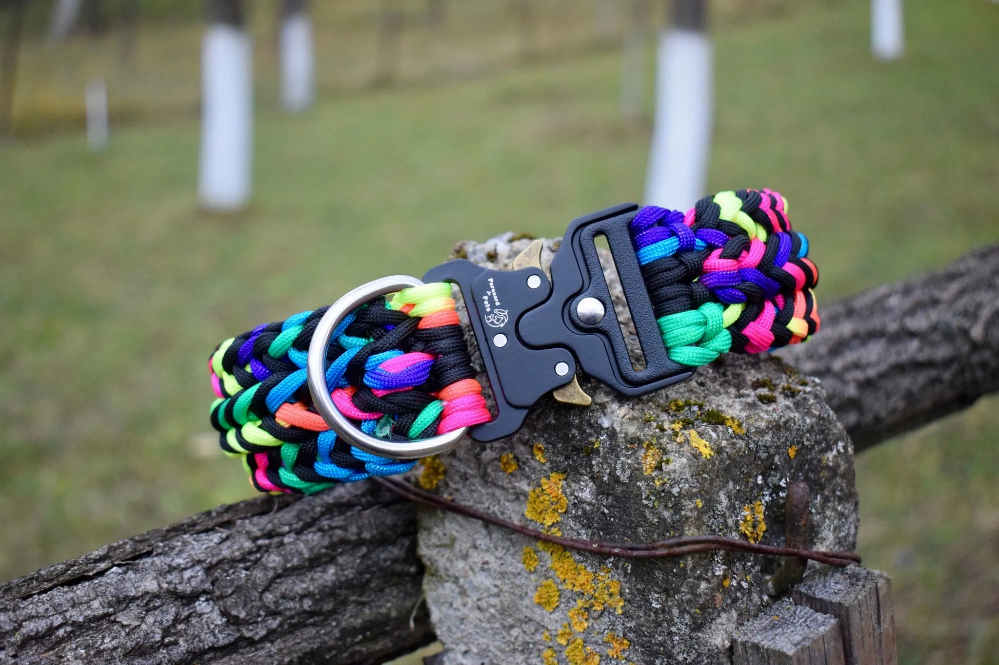 Heart Braid Dog collar