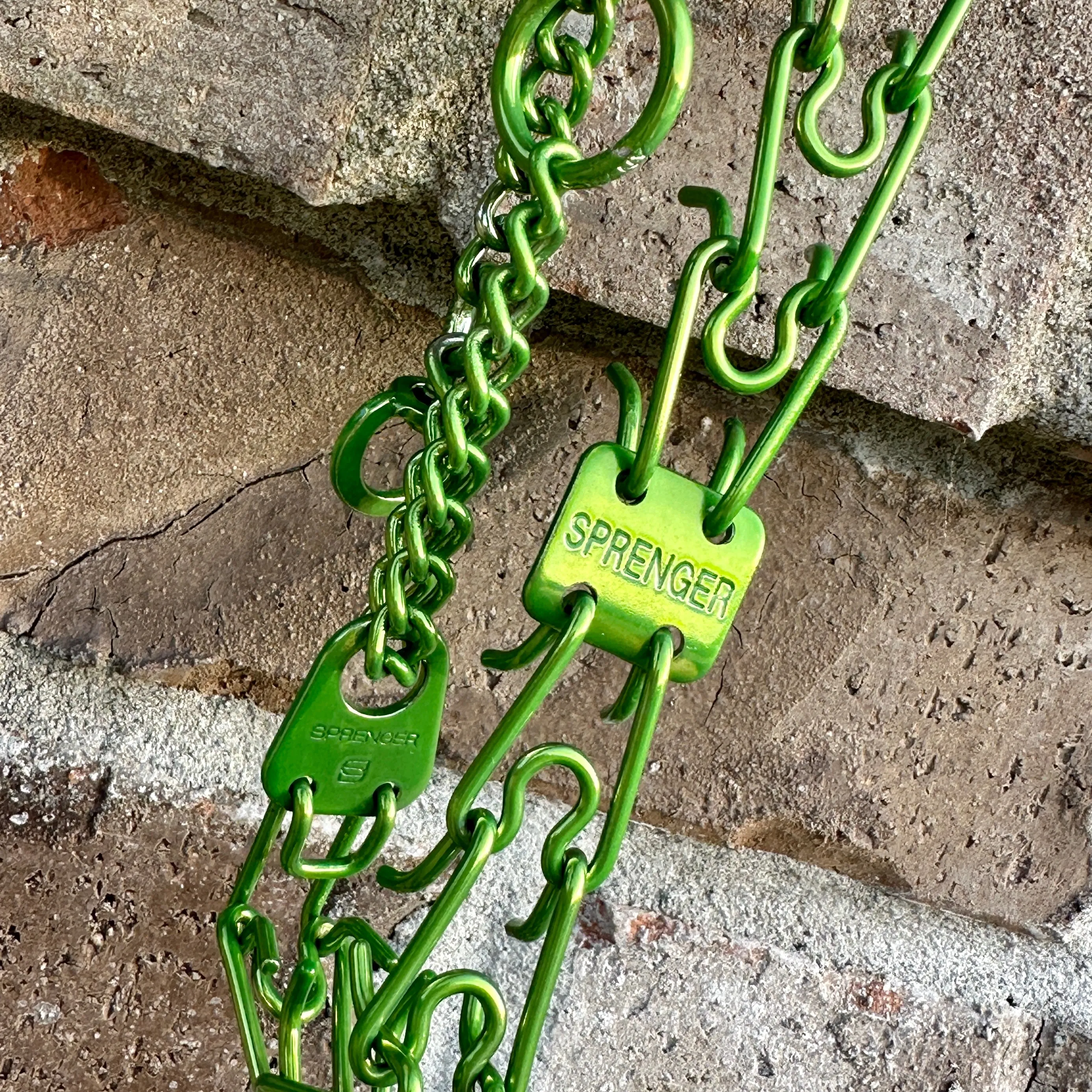 Lollipop Lime Custom Powder Coated Herm Sprenger Prong Collar for Dogs