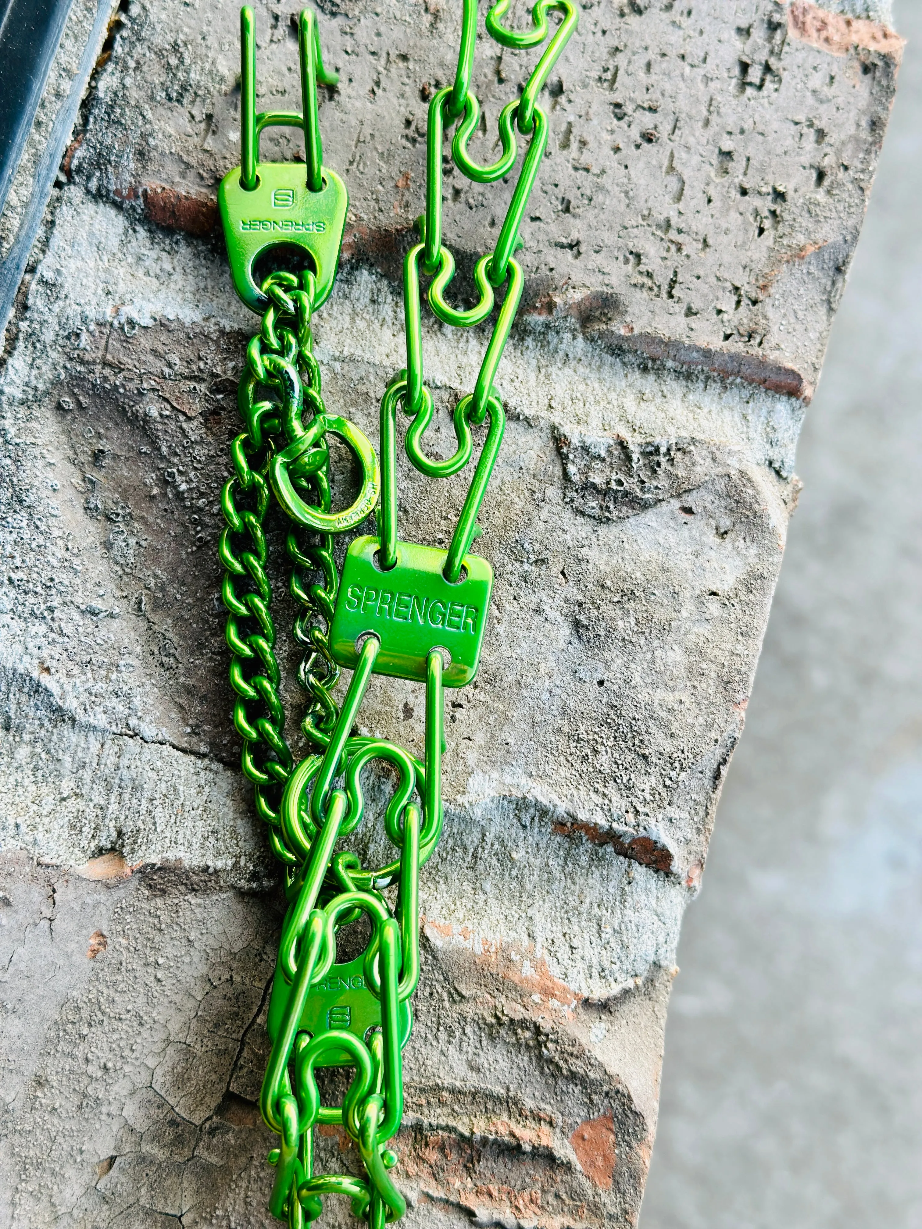 Lollipop Lime Custom Powder Coated Herm Sprenger Prong Collar for Dogs