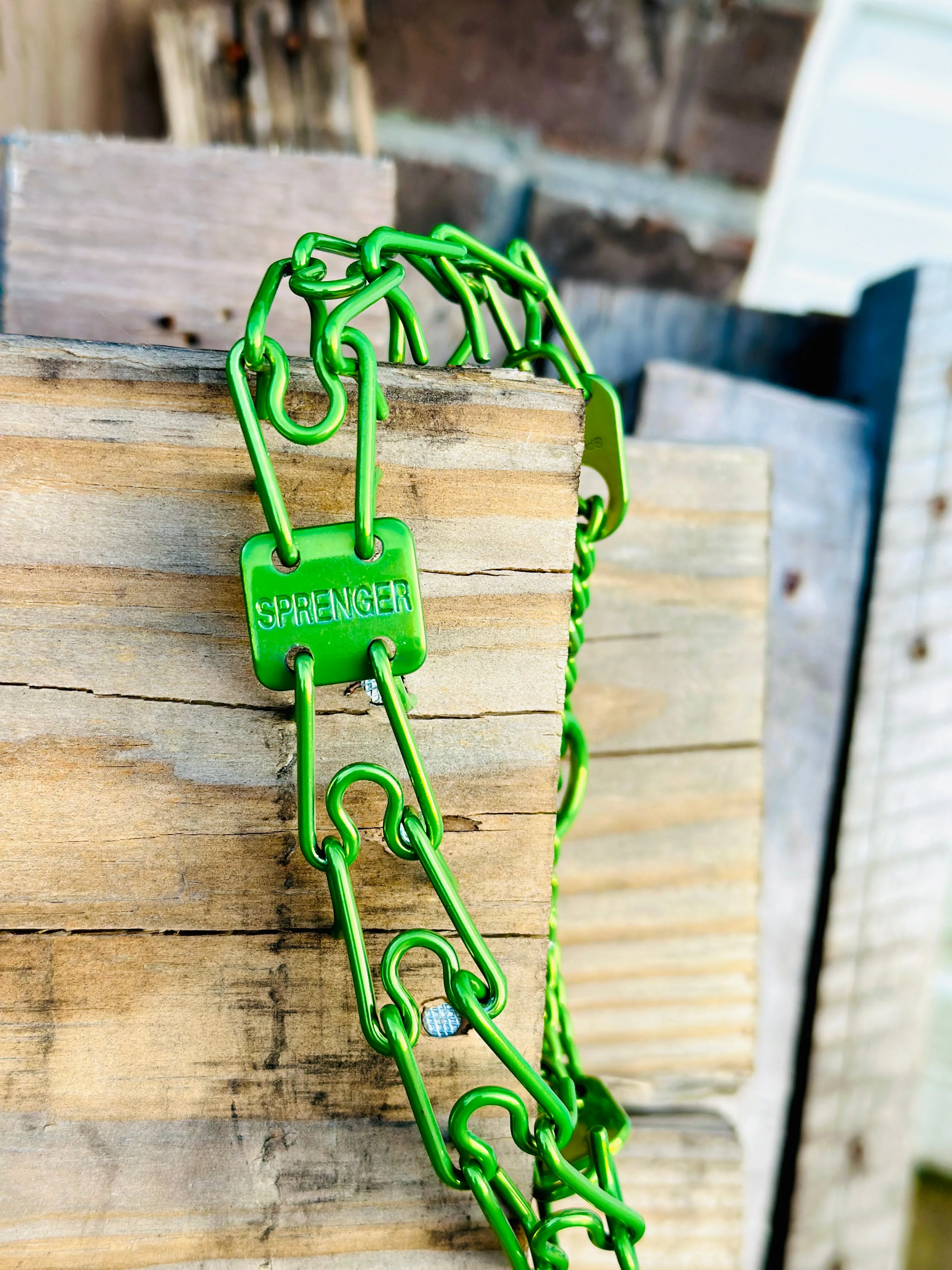 Lollipop Lime Custom Powder Coated Herm Sprenger Prong Collar for Dogs