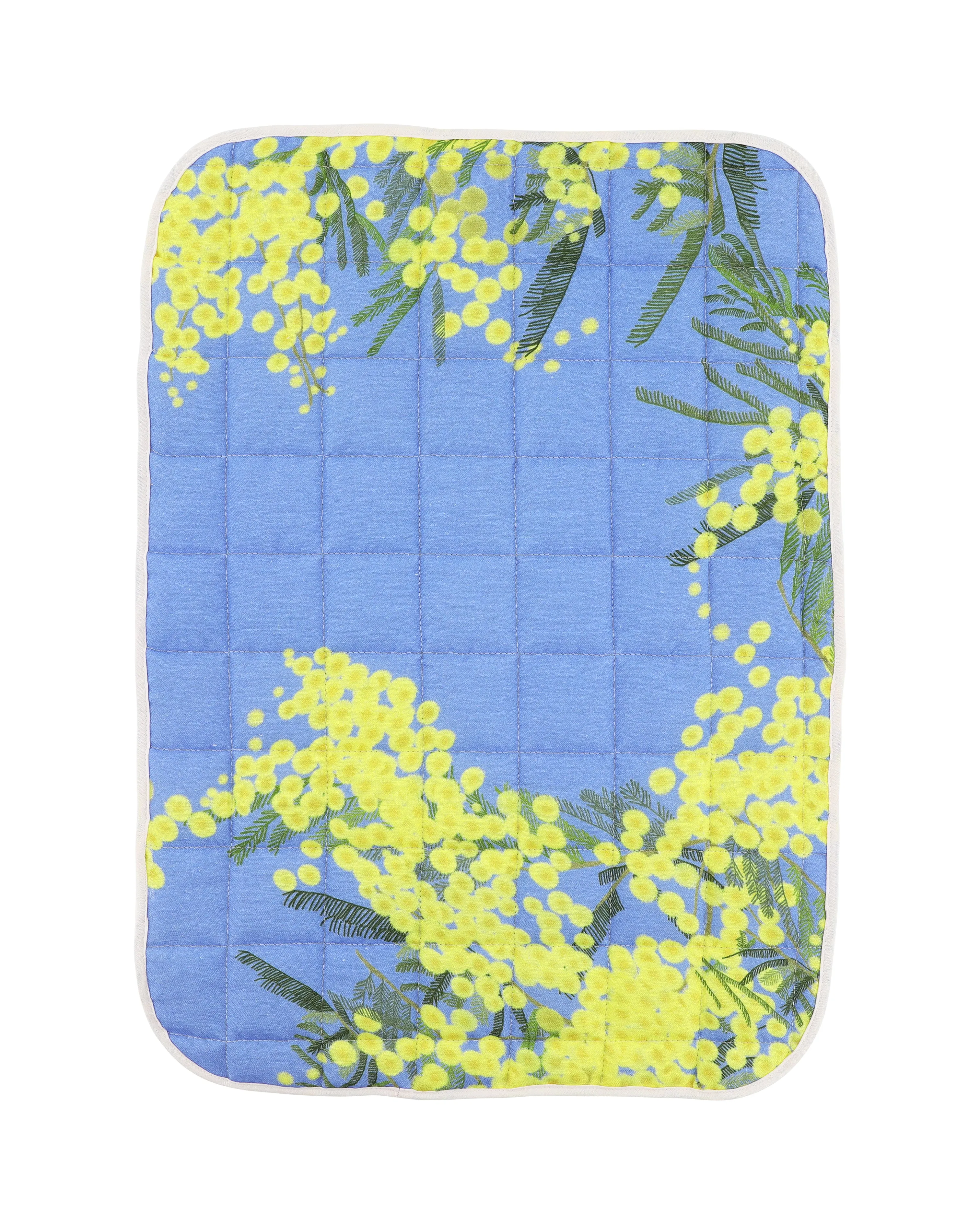 Set of 2 Quilted Placemats