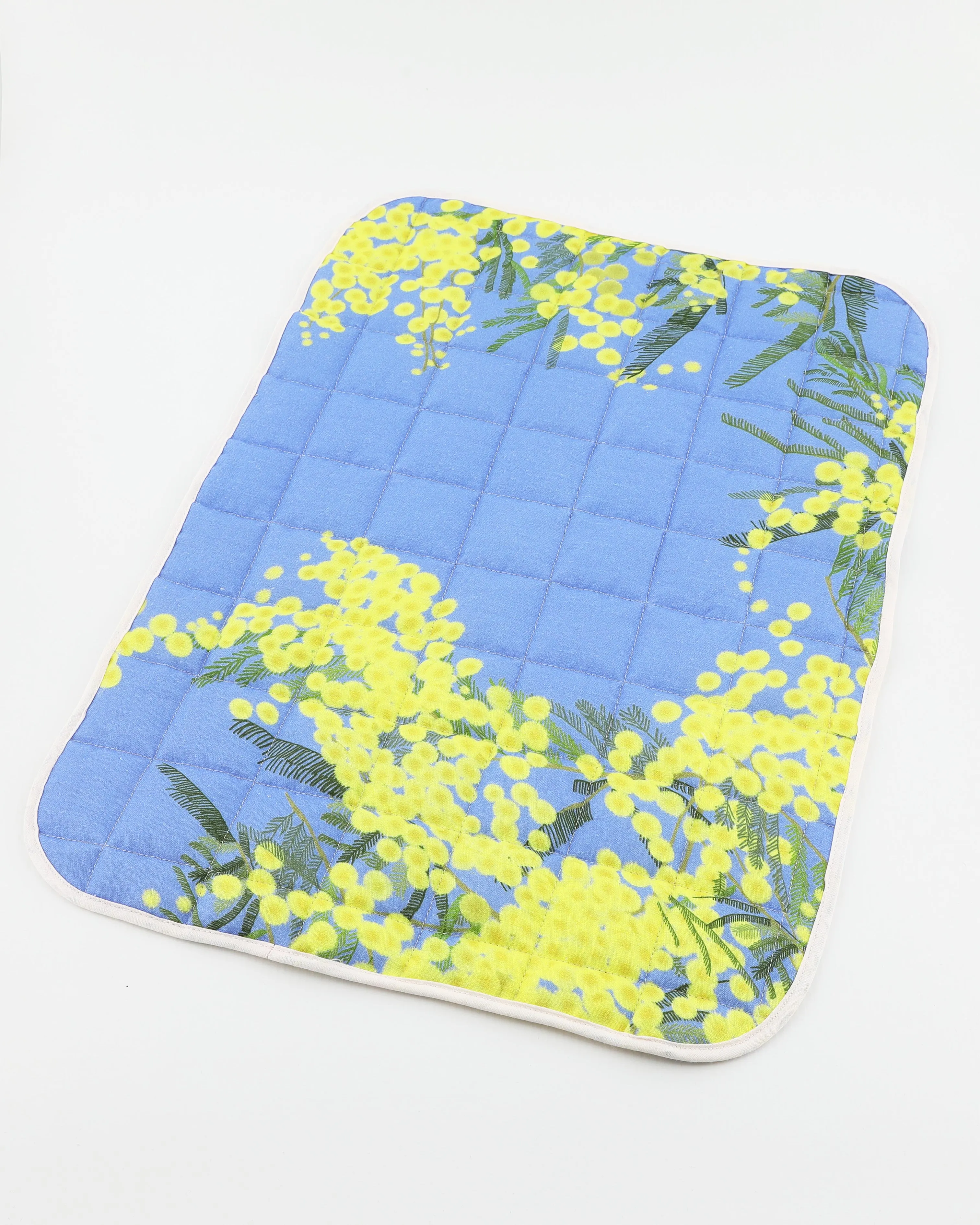 Set of 2 Quilted Placemats