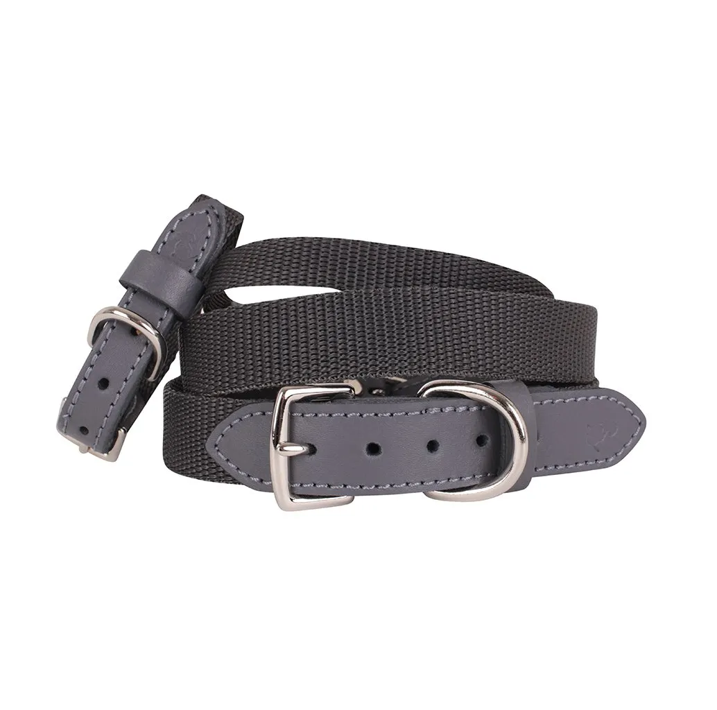 'The Marylebone' Grey Dog Collar