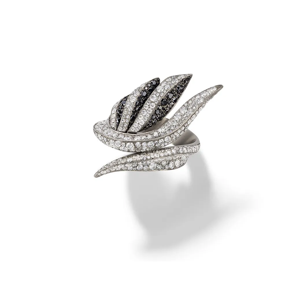 Ventagli ring